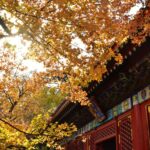 【徒步路线】香八拉：北京经典的徒步穿越路线