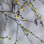 云蒙山春季踏青 | 北京周边徒步攻略